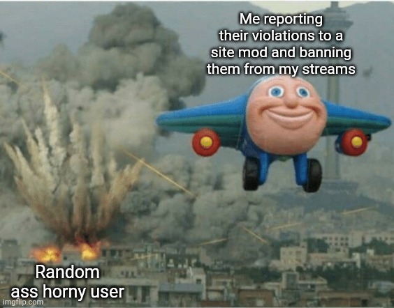 THEY. ARE. EVERYWHERE. | Me reporting their violations to a site mod and banning them from my streams; Random ass horny user | image tagged in us airstrike meme | made w/ Imgflip meme maker