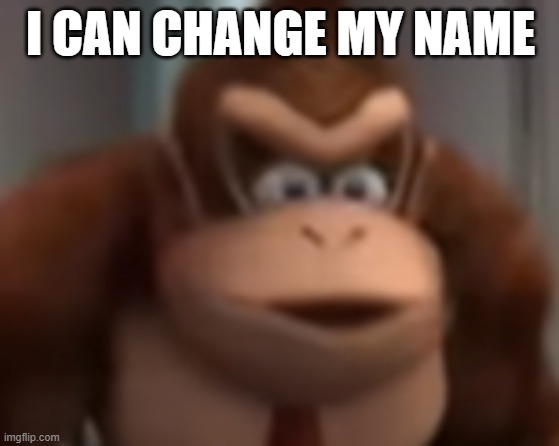 kinkey dong | I CAN CHANGE MY NAME | image tagged in kinkey dong | made w/ Imgflip meme maker