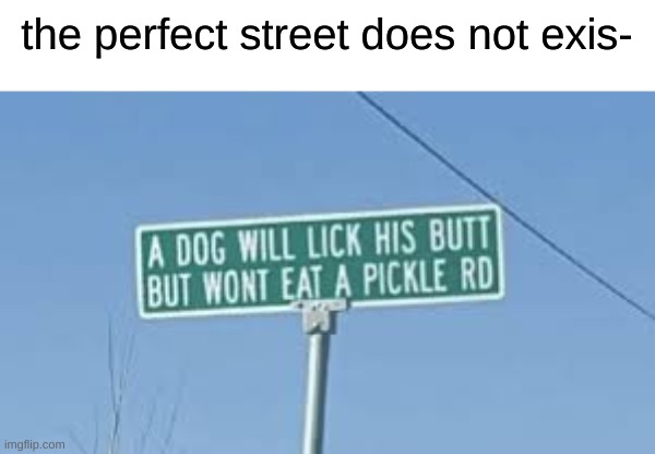 perfect | the perfect street does not exis- | image tagged in memes,funny,street,perfection | made w/ Imgflip meme maker