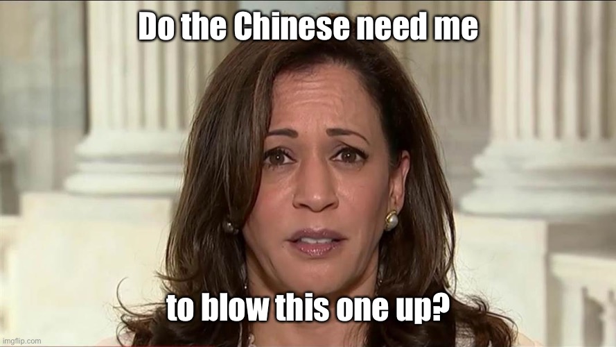 kamala harris | Do the Chinese need me to blow this one up? | image tagged in kamala harris | made w/ Imgflip meme maker