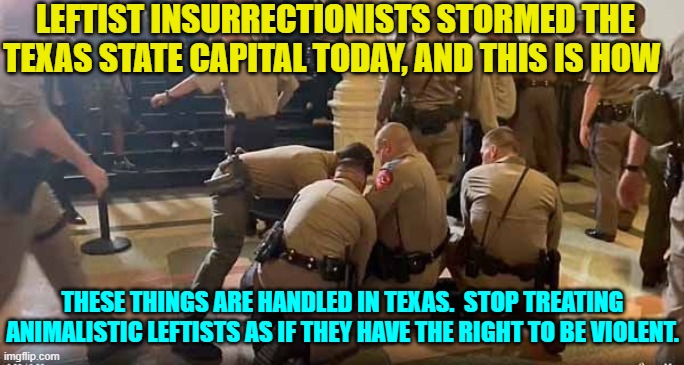 A tiny slice of reality for animalistic leftists. | LEFTIST INSURRECTIONISTS STORMED THE TEXAS STATE CAPITAL TODAY, AND THIS IS HOW; THESE THINGS ARE HANDLED IN TEXAS.  STOP TREATING ANIMALISTIC LEFTISTS AS IF THEY HAVE THE RIGHT TO BE VIOLENT. | image tagged in truth | made w/ Imgflip meme maker