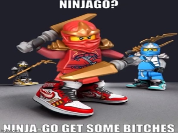 ninjago? | image tagged in funny,memes,ninjago,ninja,funny memes,no bitches | made w/ Imgflip meme maker