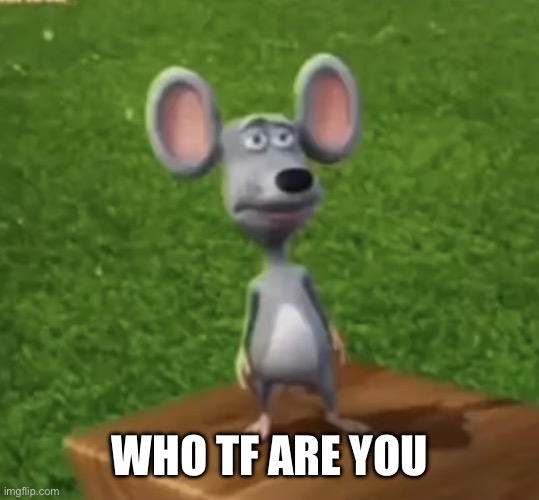 Wtf did I just here right now | WHO TF ARE YOU | image tagged in wtf did i just here right now | made w/ Imgflip meme maker