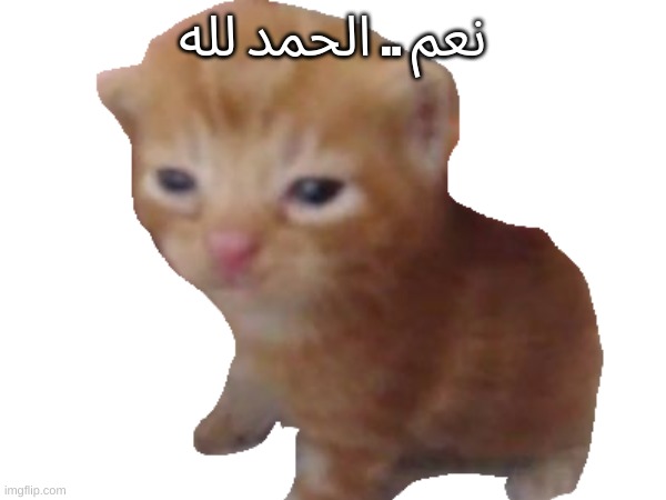 نعم .. الحمد لله | made w/ Imgflip meme maker