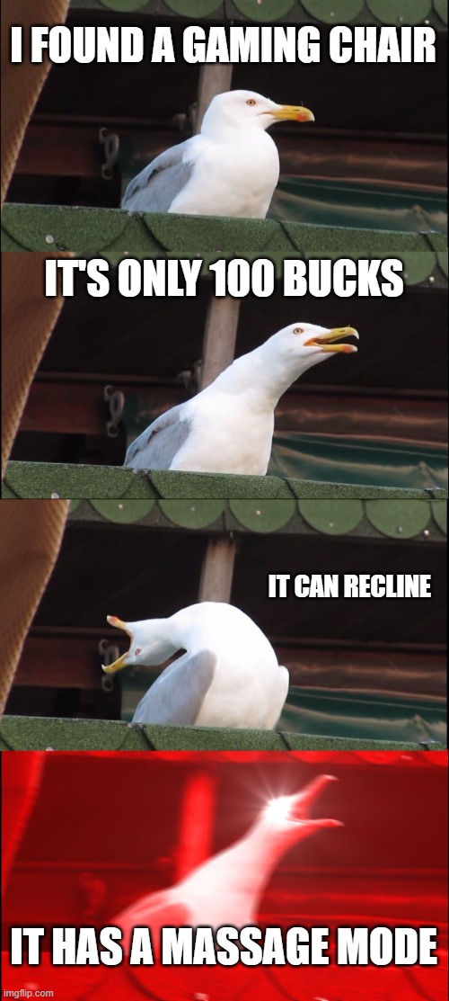 Inhaling Seagull | I FOUND A GAMING CHAIR; IT'S ONLY 100 BUCKS; IT CAN RECLINE; IT HAS A MASSAGE MODE | image tagged in memes,inhaling seagull | made w/ Imgflip meme maker