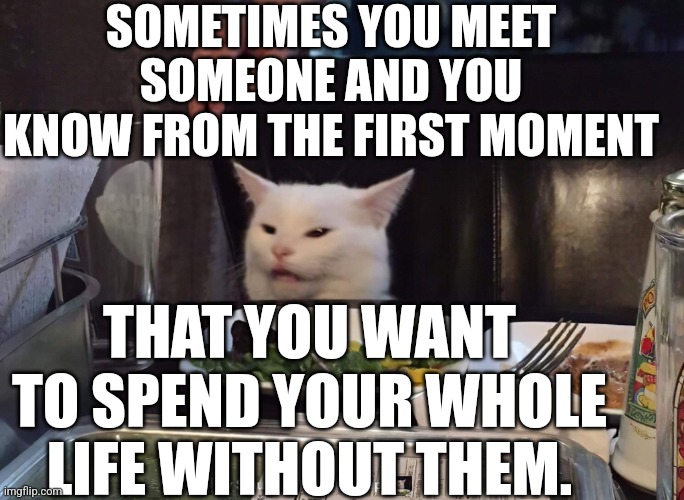 SOMETIMES YOU MEET SOMEONE AND YOU KNOW FROM THE FIRST MOMENT; THAT YOU WANT TO SPEND YOUR WHOLE LIFE WITHOUT THEM. | image tagged in smudge the cat | made w/ Imgflip meme maker