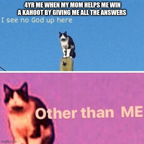 Hail pole cat | 4YR ME WHEN MY MOM HELPS ME WIN A KAHOOT BY GIVING ME ALL THE ANSWERS | image tagged in hail pole cat | made w/ Imgflip meme maker