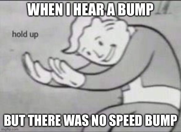 Hold up- | WHEN I HEAR A BUMP; BUT THERE WAS NO SPEED BUMP | image tagged in fallout hold up | made w/ Imgflip meme maker