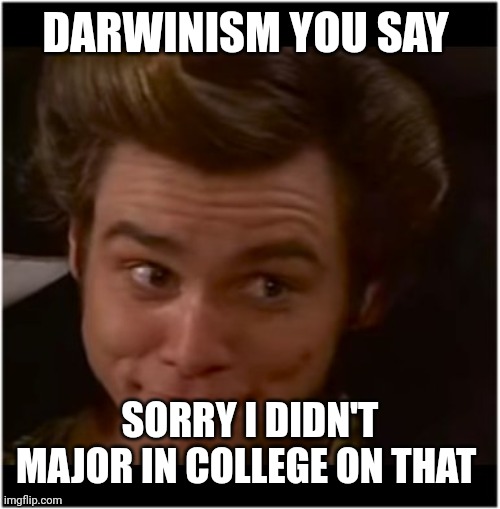 Ace Ventura | DARWINISM YOU SAY SORRY I DIDN'T MAJOR IN COLLEGE ON THAT | image tagged in ace ventura | made w/ Imgflip meme maker