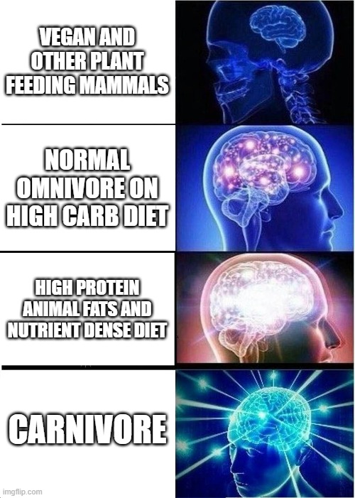 vegan v carnivore | VEGAN AND OTHER PLANT FEEDING MAMMALS; NORMAL OMNIVORE ON HIGH CARB DIET; HIGH PROTEIN ANIMAL FATS AND NUTRIENT DENSE DIET; CARNIVORE | image tagged in memes,expanding brain | made w/ Imgflip meme maker