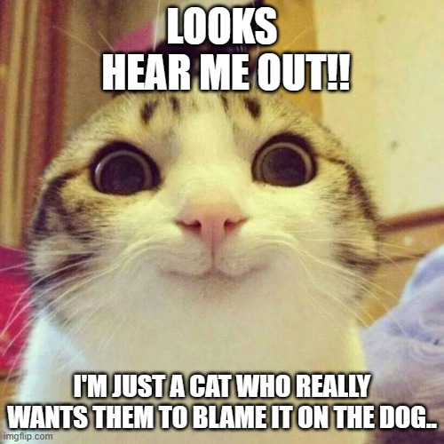 Smiling Cat | LOOKS
 HEAR ME OUT!! I'M JUST A CAT WHO REALLY WANTS THEM TO BLAME IT ON THE DOG.. | image tagged in memes,smiling cat | made w/ Imgflip meme maker