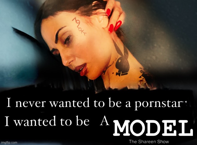I wanted to be a model | image tagged in modelingmemes,shareenhammoud,models,mentalhealthmemes | made w/ Imgflip meme maker