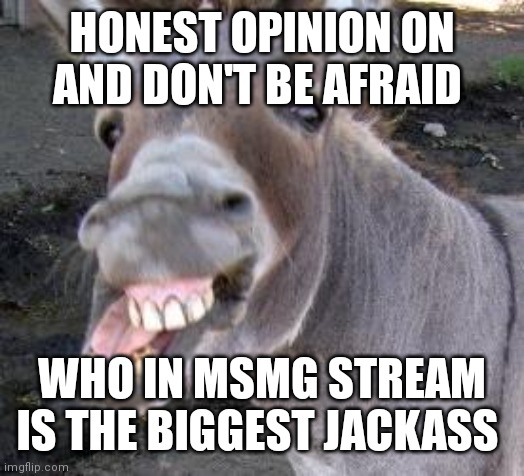 Donkey | HONEST OPINION ON
AND DON'T BE AFRAID; WHO IN MSMG STREAM IS THE BIGGEST JACKASS | image tagged in donkey | made w/ Imgflip meme maker