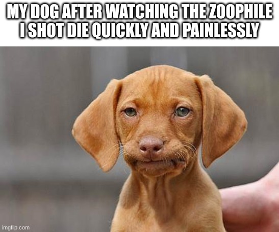 He wanted to be entertained | MY DOG AFTER WATCHING THE ZOOPHILE I SHOT DIE QUICKLY AND PAINLESSLY | image tagged in dissapointed puppy,anti furry | made w/ Imgflip meme maker