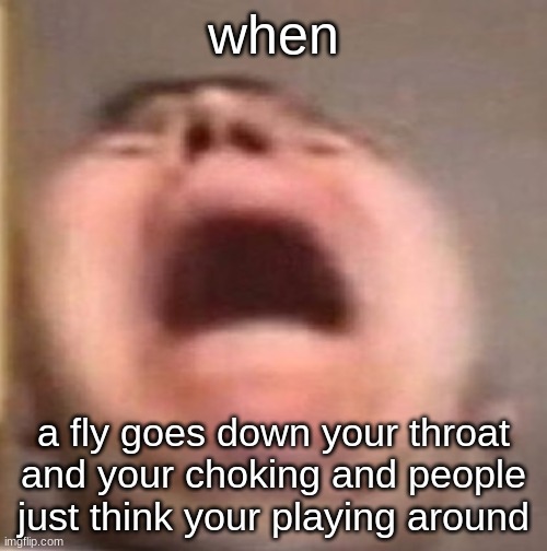 "COUGH COUGH" | when; a fly goes down your throat and your choking and people just think your playing around | image tagged in fly | made w/ Imgflip meme maker