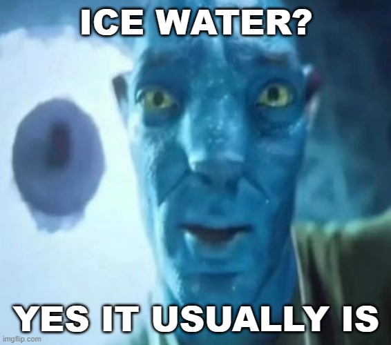 Avatar guy | ICE WATER? YES IT USUALLY IS | image tagged in avatar guy | made w/ Imgflip meme maker