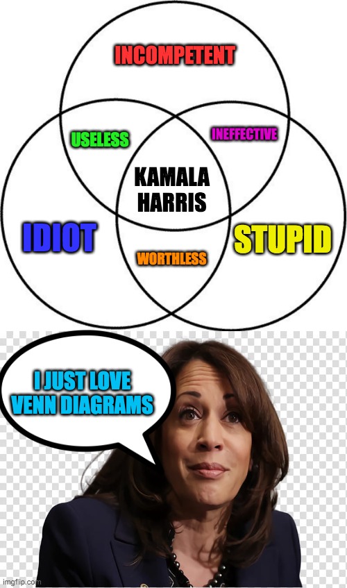 The Current State of the Union | INCOMPETENT; INEFFECTIVE; USELESS; KAMALA HARRIS; IDIOT; STUPID; WORTHLESS; I JUST LOVE VENN DIAGRAMS | image tagged in venn diagram,blank black | made w/ Imgflip meme maker
