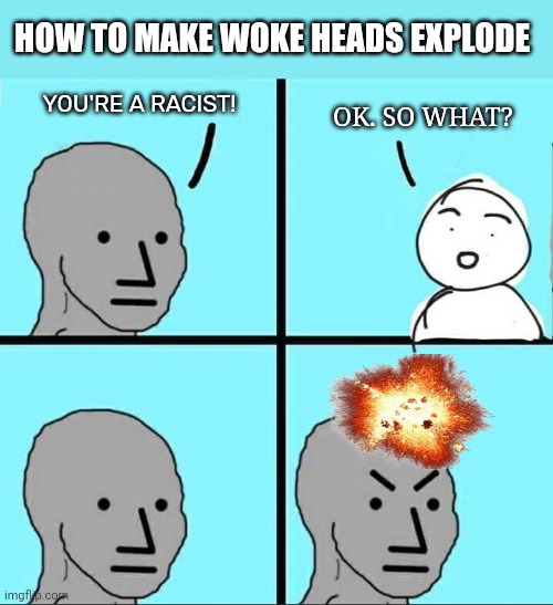 NPC Meme | HOW TO MAKE WOKE HEADS EXPLODE; YOU'RE A RACIST! OK. SO WHAT? | image tagged in npc meme | made w/ Imgflip meme maker
