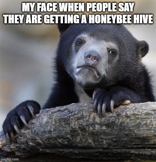 Confession Bear | MY FACE WHEN PEOPLE SAY THEY ARE GETTING A HONEYBEE HIVE | image tagged in memes,confession bear | made w/ Imgflip meme maker