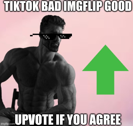 All my followers and upvoters are gigachads | TIKTOK BAD IMGFLIP GOOD; UPVOTE IF YOU AGREE | image tagged in funny because it's true | made w/ Imgflip meme maker
