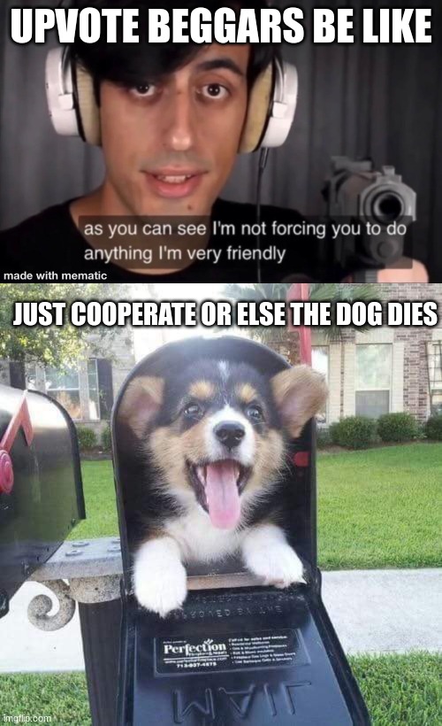 I hate beggars | UPVOTE BEGGARS BE LIKE; JUST COOPERATE OR ELSE THE DOG DIES | image tagged in as you can see im not forcing you to do anything im very friendl,cute doggo in mailbox | made w/ Imgflip meme maker