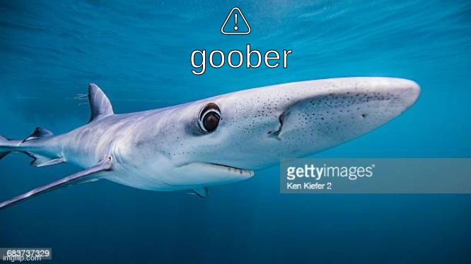 ⚠
 goober | made w/ Imgflip meme maker