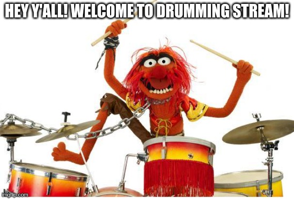 Hey! | HEY Y'ALL! WELCOME TO DRUMMING STREAM! | image tagged in animal drums | made w/ Imgflip meme maker