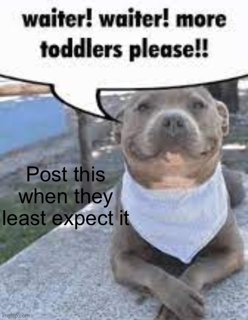 Waiter! Waiter! More toddlers please!! | Post this when they least expect it | image tagged in waiter waiter more toddlers please | made w/ Imgflip meme maker