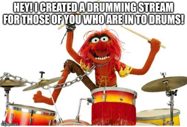 Link in comments! Thanks guys | HEY! I CREATED A DRUMMING STREAM FOR THOSE OF YOU WHO ARE IN TO DRUMS! | image tagged in animal drums | made w/ Imgflip meme maker