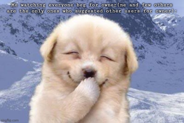 Pupppyyyyyy | Me watching everyone beg for owner(me and few others are the only ones who suggested other users for owner): | image tagged in laughing dog | made w/ Imgflip meme maker