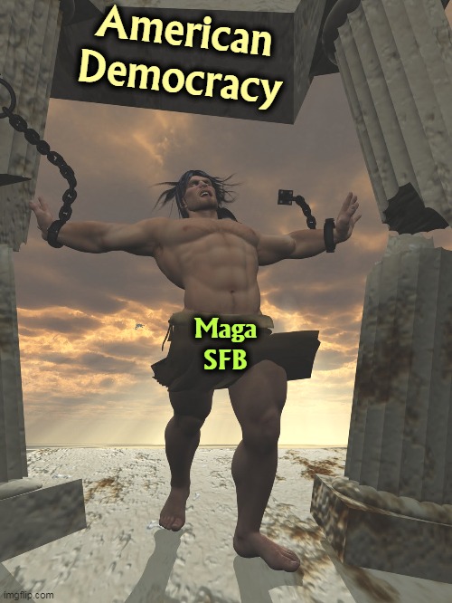 Attacking American Democracy is considered a subversive act. | American Democracy; Maga
SFB | image tagged in right wing,conservative,maga,attack,american,democracy | made w/ Imgflip meme maker