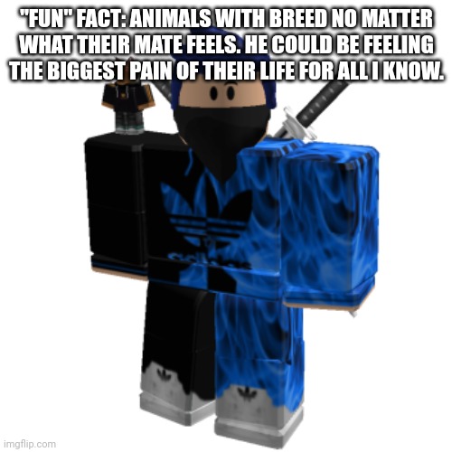 Zero Frost | "FUN" FACT: ANIMALS WITH BREED NO MATTER WHAT THEIR MATE FEELS. HE COULD BE FEELING THE BIGGEST PAIN OF THEIR LIFE FOR ALL I KNOW. | image tagged in zero frost | made w/ Imgflip meme maker
