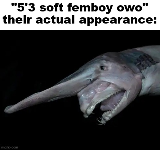 "5'3 soft femboy owo"
their actual appearance: | made w/ Imgflip meme maker