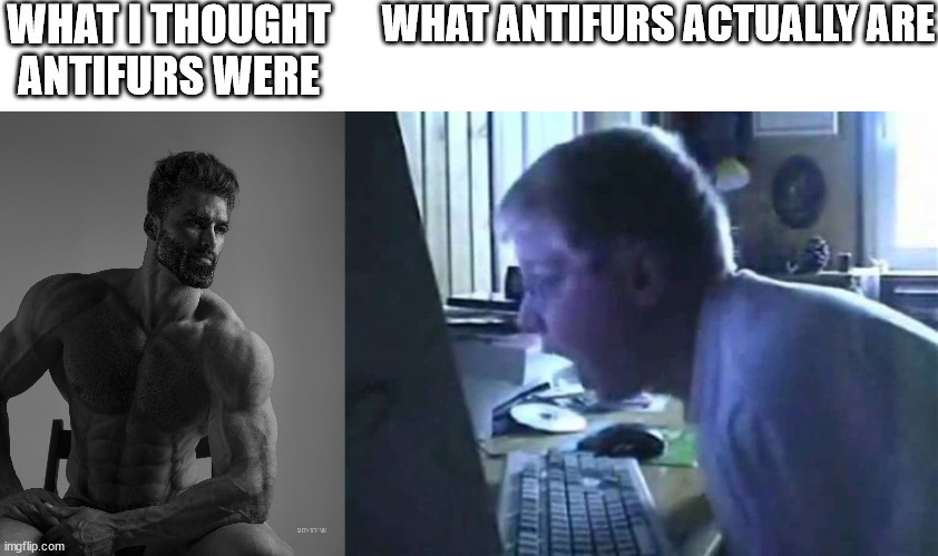 WHAT I THOUGHT ANTIFURS WERE; WHAT ANTIFURS ACTUALLY ARE | image tagged in giga chad,memes,angry german kid,furry memes | made w/ Imgflip meme maker
