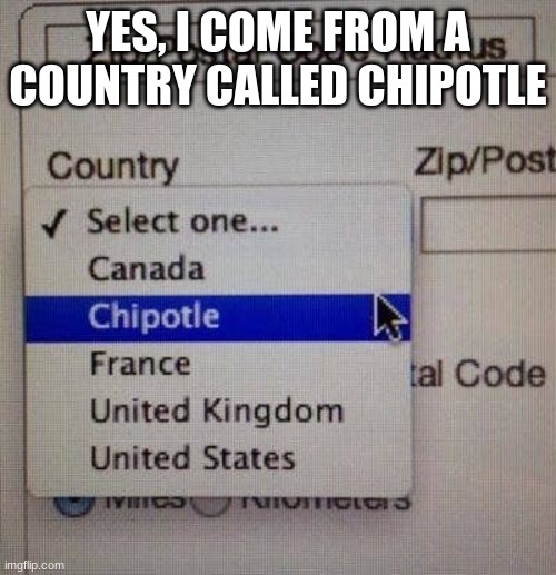 Chipotle is a totally legitmate country and not a restaurant chain | YES, I COME FROM A COUNTRY CALLED CHIPOTLE | image tagged in memes,you had one job | made w/ Imgflip meme maker
