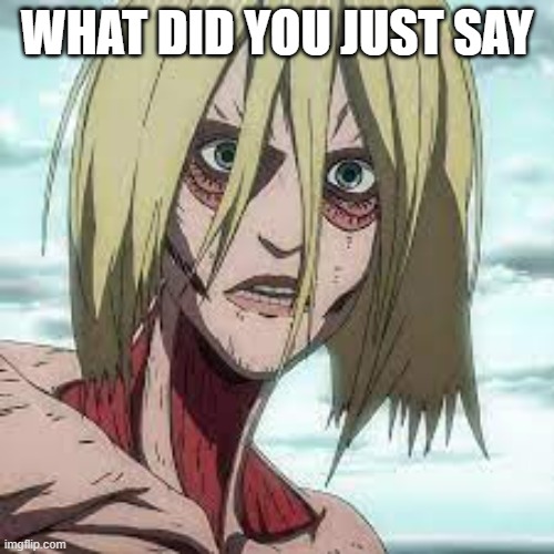 what did you just say featuring female titan | WHAT DID YOU JUST SAY | made w/ Imgflip meme maker