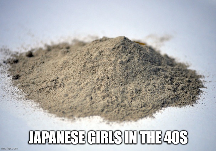 pile of dust | JAPANESE GIRLS IN THE 40S | image tagged in pile of dust | made w/ Imgflip meme maker