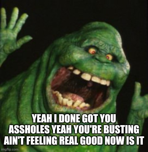 Slimer | YEAH I DONE GOT YOU ASSHOLES YEAH YOU'RE BUSTING AIN'T FEELING REAL GOOD NOW IS IT | image tagged in slimer | made w/ Imgflip meme maker