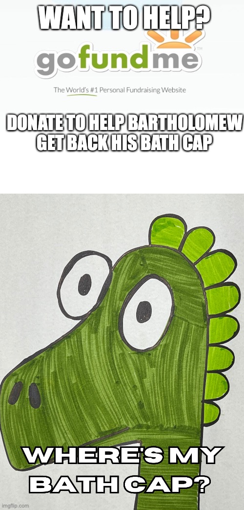WANT TO HELP? DONATE TO HELP BARTHOLOMEW GET BACK HIS BATH CAP | image tagged in go fund me | made w/ Imgflip meme maker