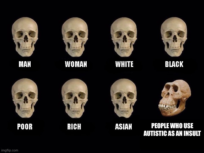 its not an insult | PEOPLE WHO USE AUTISTIC AS AN INSULT | image tagged in empty skulls of truth | made w/ Imgflip meme maker