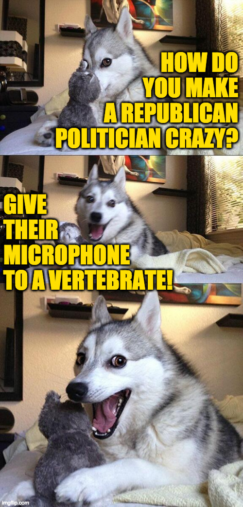 Bad Pundit Dog. | HOW DO
YOU MAKE
A REPUBLICAN
POLITICIAN CRAZY? GIVE
THEIR
MICROPHONE
TO A VERTEBRATE! | image tagged in memes,bad pun dog,republicans | made w/ Imgflip meme maker