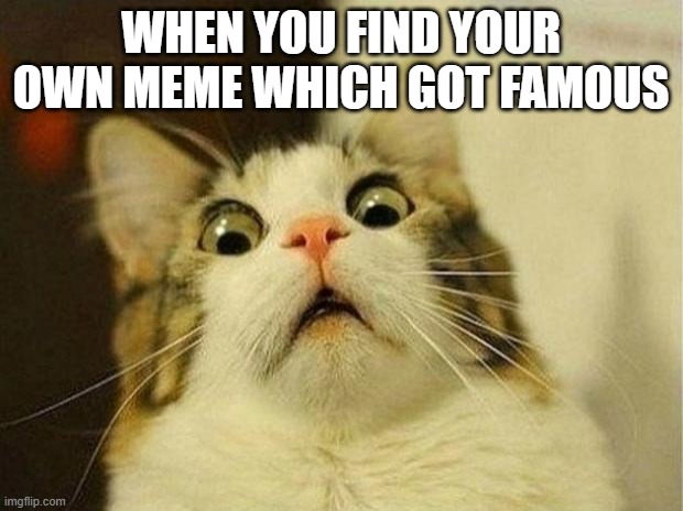Surprise! You've got famous! | WHEN YOU FIND YOUR OWN MEME WHICH GOT FAMOUS | image tagged in memes,scared cat | made w/ Imgflip meme maker