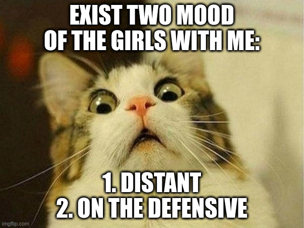 two moods | EXIST TWO MOOD OF THE GIRLS WITH ME:; 1. DISTANT
2. ON THE DEFENSIVE | image tagged in memes,scared cat | made w/ Imgflip meme maker