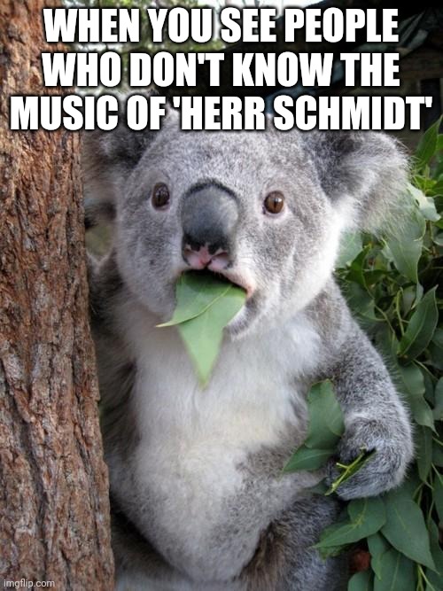 Herr Schmidt Music | WHEN YOU SEE PEOPLE WHO DON'T KNOW THE MUSIC OF 'HERR SCHMIDT' | image tagged in memes,surprised koala,music,music meme,funny memes | made w/ Imgflip meme maker