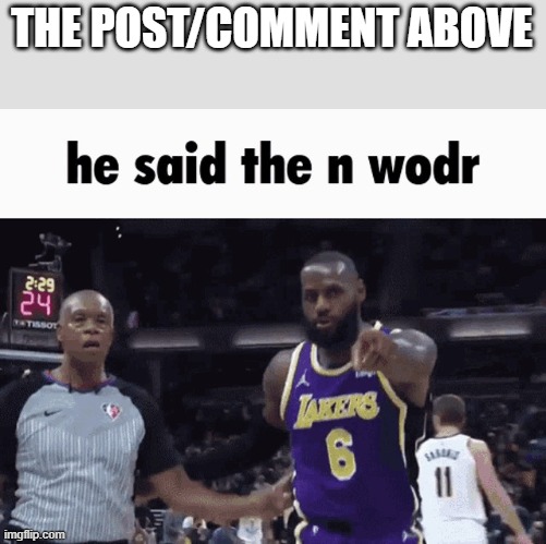 He said the n wodr | THE POST/COMMENT ABOVE | image tagged in he said the n wodr | made w/ Imgflip meme maker