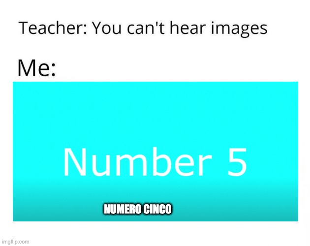 Squewe | NUMERO CINCO | image tagged in funny | made w/ Imgflip meme maker