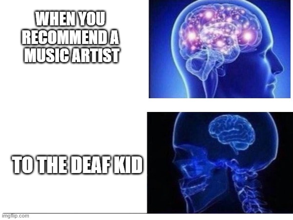 MissionCompletedPoorly | WHEN YOU
RECOMMEND A
 MUSIC ARTIST; TO THE DEAF KID | image tagged in stupid | made w/ Imgflip meme maker