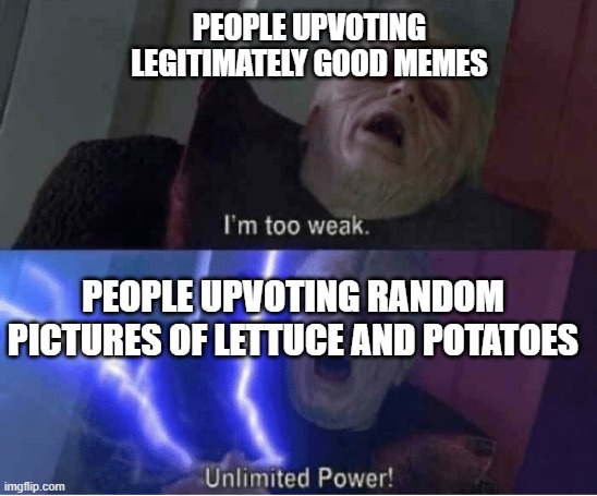 Y | PEOPLE UPVOTING LEGITIMATELY GOOD MEMES; PEOPLE UPVOTING RANDOM PICTURES OF LETTUCE AND POTATOES | image tagged in too weak unlimited power,upvotes | made w/ Imgflip meme maker