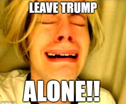 LEAVE TRUMP ALONE | LEAVE TRUMP; ALONE!! | image tagged in leave britney alone | made w/ Imgflip meme maker