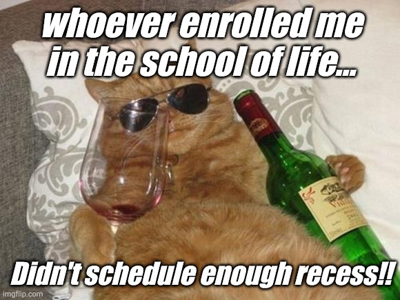 Funny Cat Birthday | whoever enrolled me in the school of life... Didn't schedule enough recess!! | image tagged in funny cat birthday | made w/ Imgflip meme maker